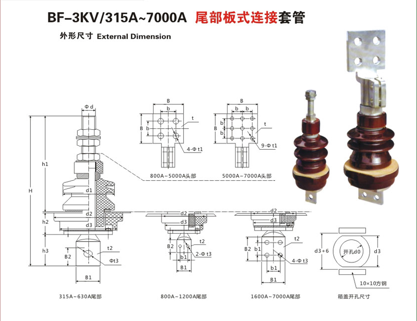 BF-3KV/315A~7000Aβʽӱѹ׹